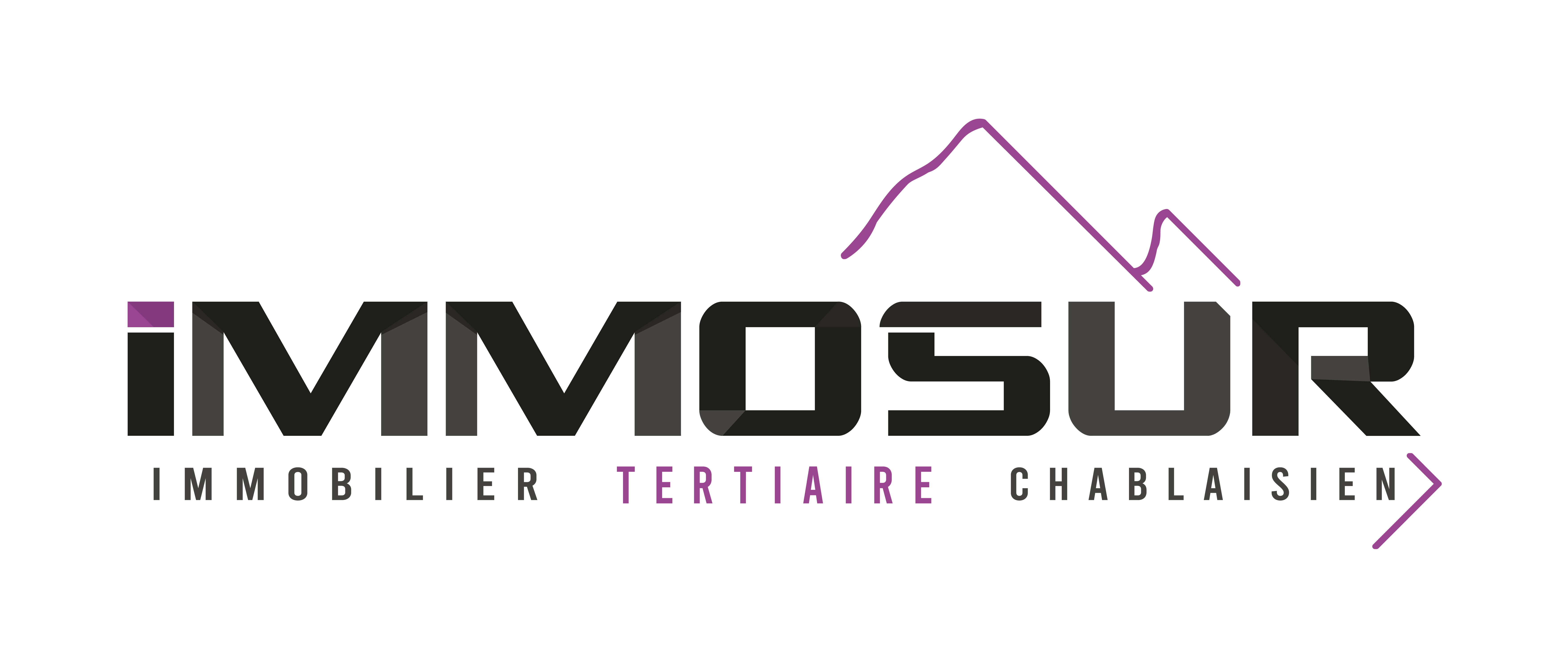 Logo Immosur
